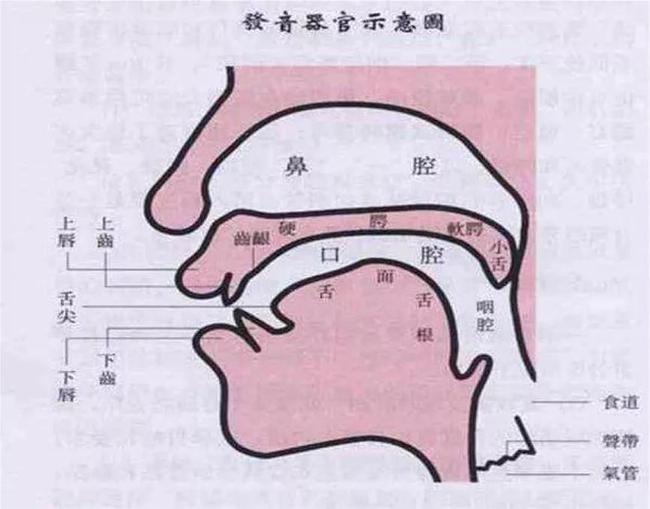 小孩發(fā)音不清楚的原因是什么？